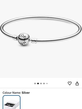 Pandora Moments Bangle – Authentic Sterling Silver Bracelet (19 cm)